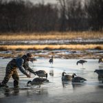 Late-Season Waterfowling