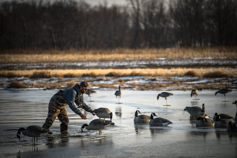 Late-Season Waterfowling