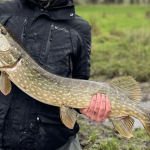 pike lures
