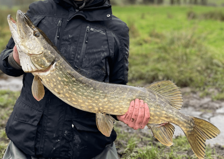 pike lures